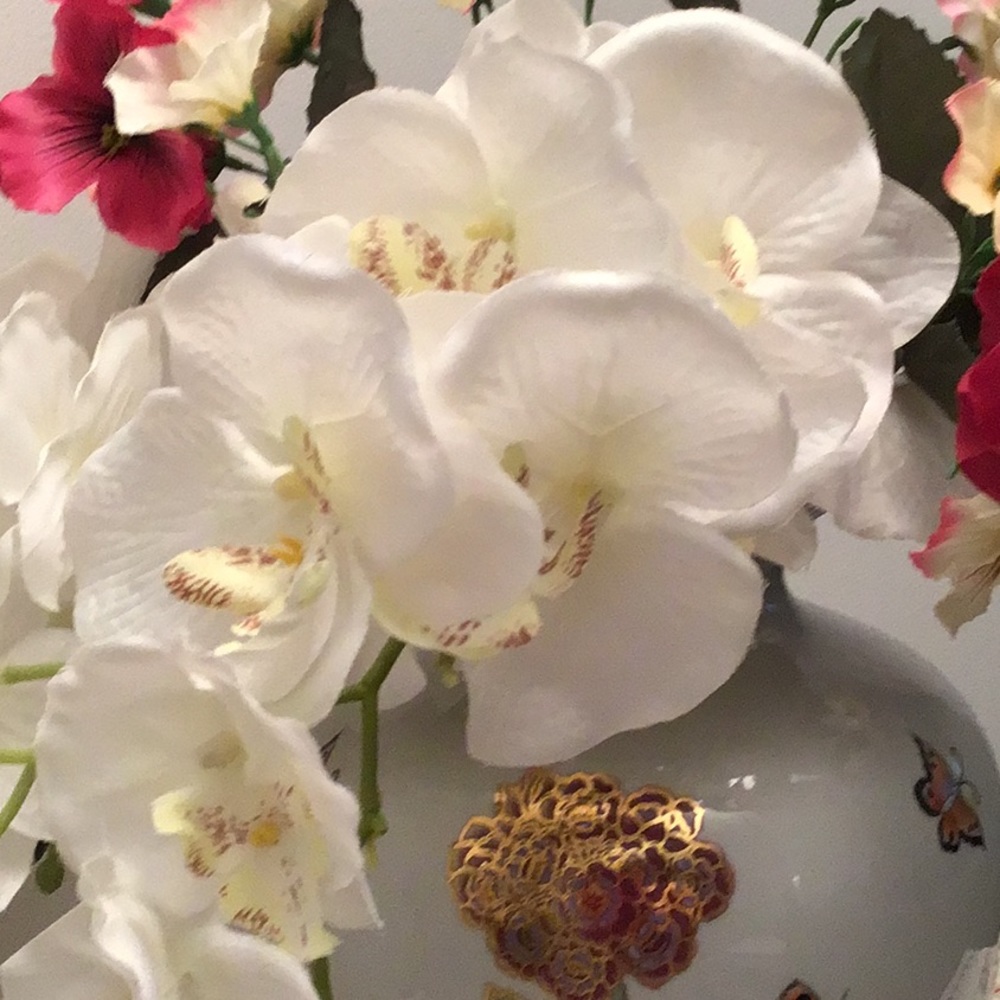 Meet your Posher, Mary